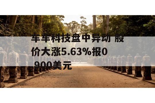 车车科技盘中异动 股价大涨5.63%报0.900美元