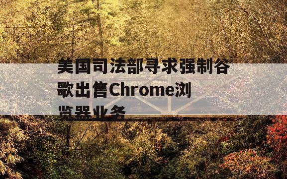 美国司法部寻求强制谷歌出售Chrome浏览器业务